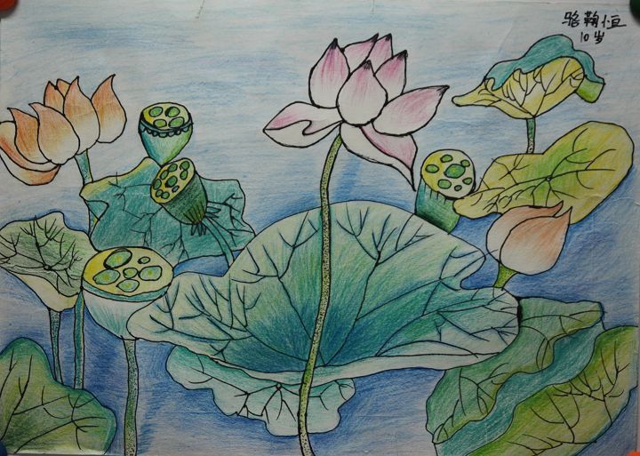 彩铅画《池塘荷花》